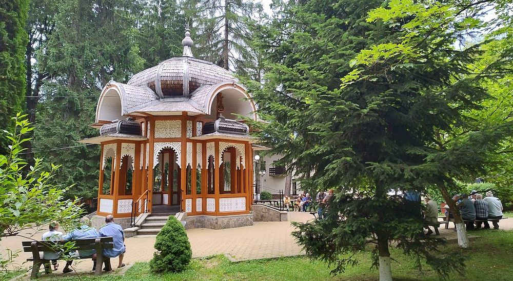Kytičkový zájezd do hor severního Rumunska