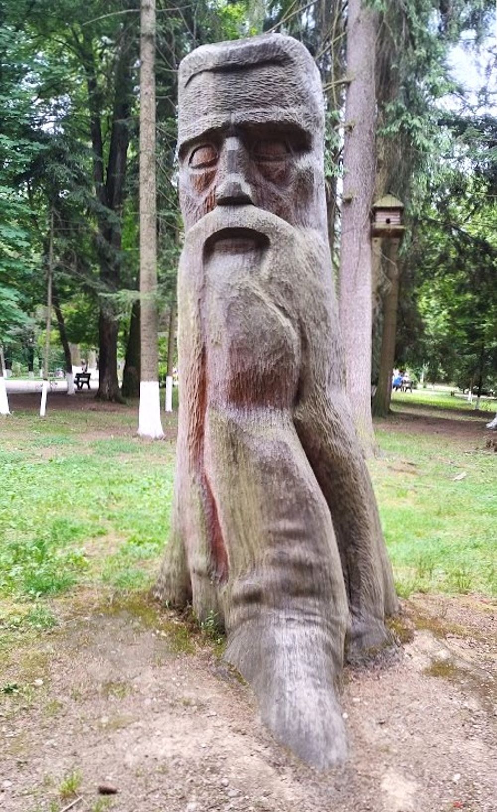 Kytičkový zájezd do hor severního Rumunska
