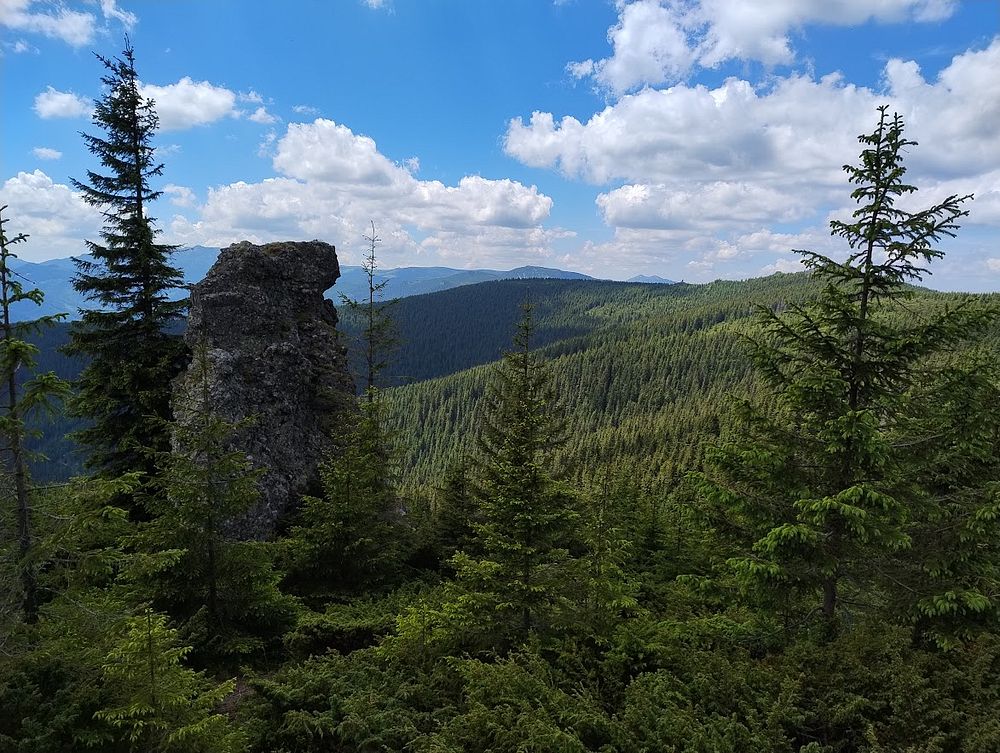 Kytičkový zájezd do hor severního Rumunska
