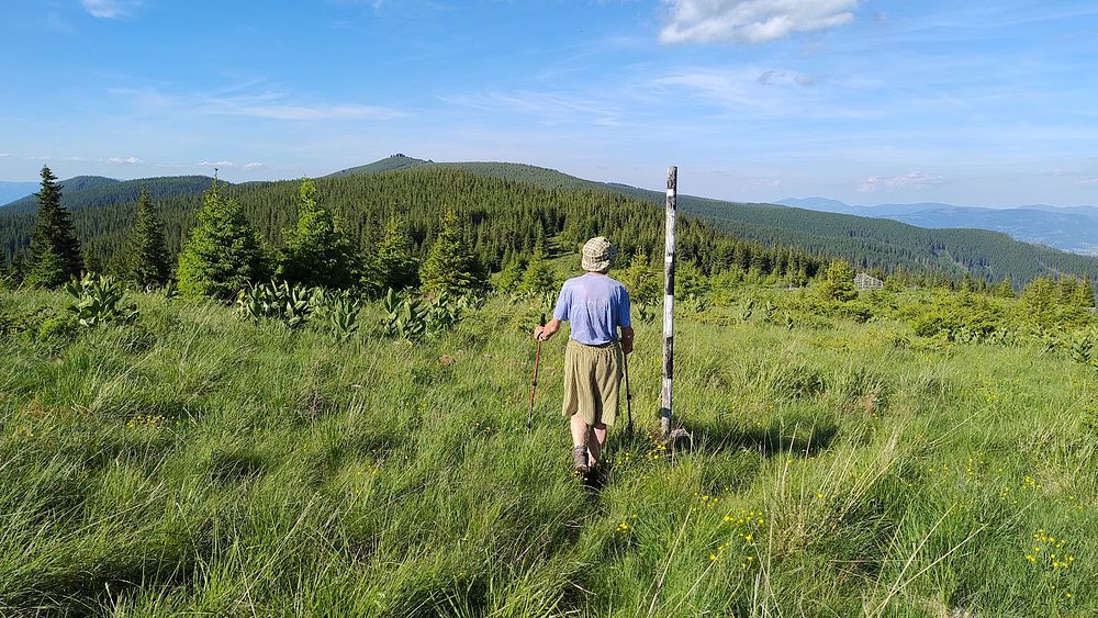 Kytičkový zájezd do hor severního Rumunska