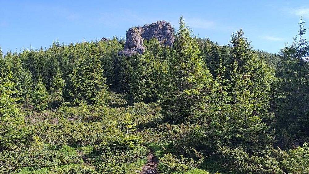 Kytičkový zájezd do hor severního Rumunska