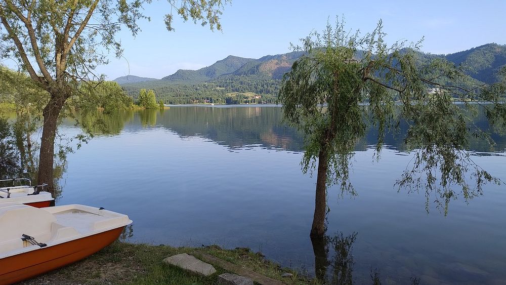 Kytičkový zájezd do hor severního Rumunska