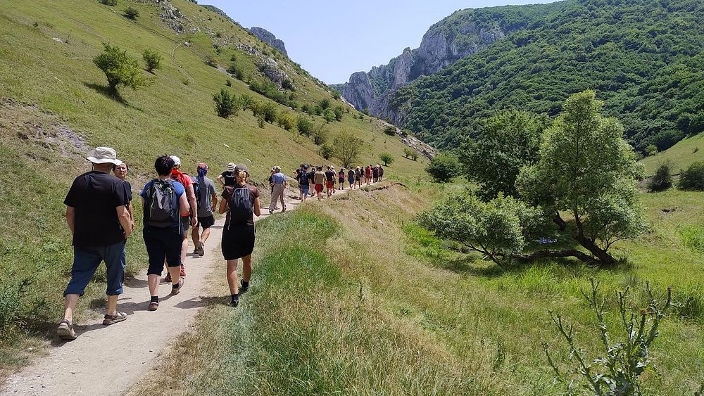 Kytičkový zájezd do hor severního Rumunska