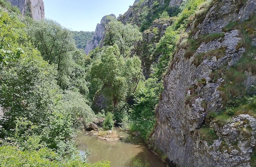 Kytičkový zájezd do hor severního Rumunska