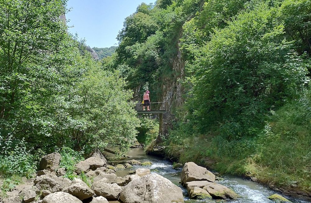 Kytičkový zájezd do hor severního Rumunska