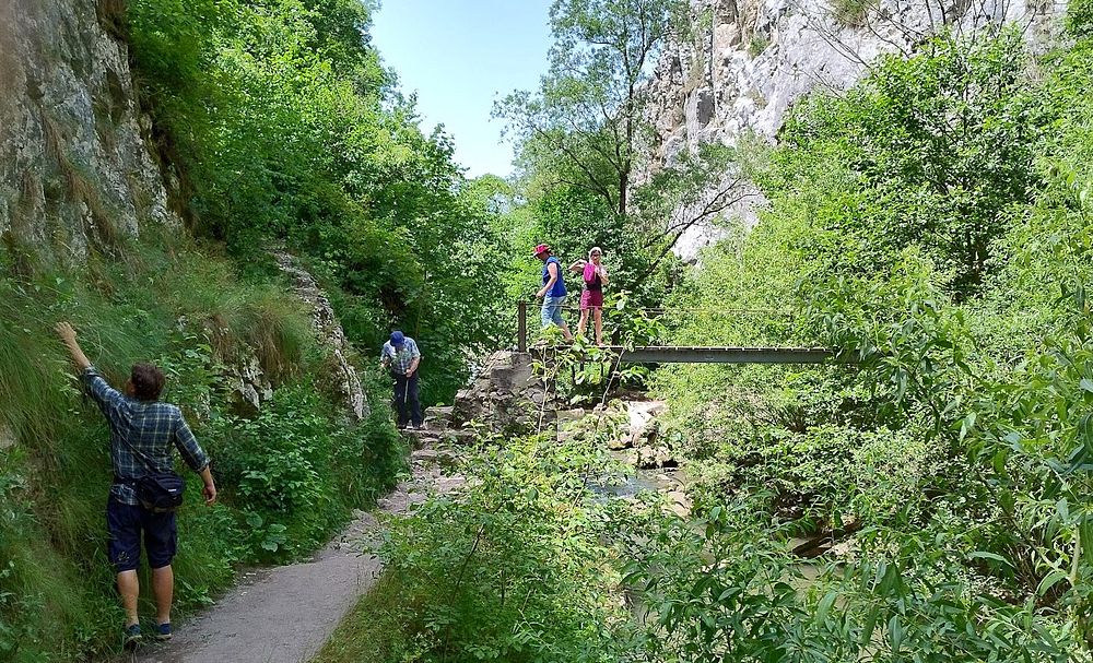 Kytičkový zájezd do hor severního Rumunska