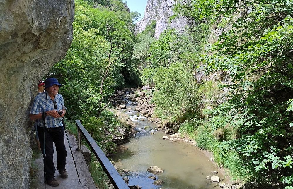Kytičkový zájezd do hor severního Rumunska