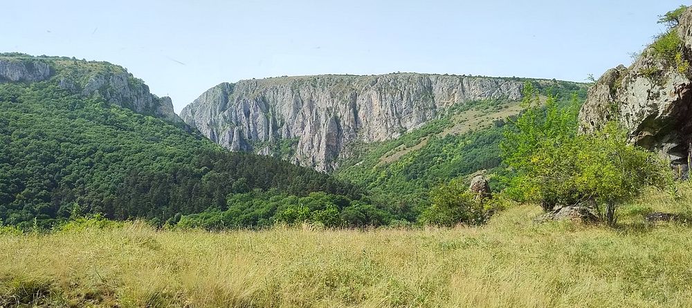Kytičkový zájezd do hor severního Rumunska