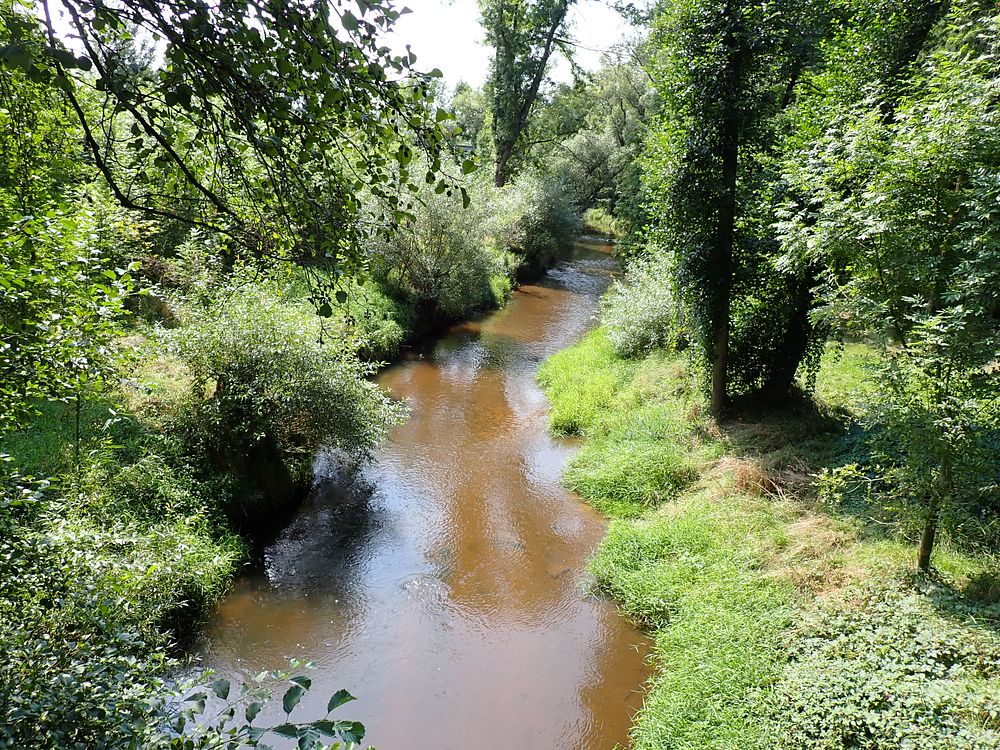 Novohradské hory kolem hranice