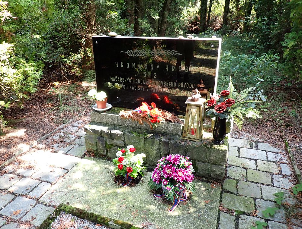 Novohradské hory kolem hranice