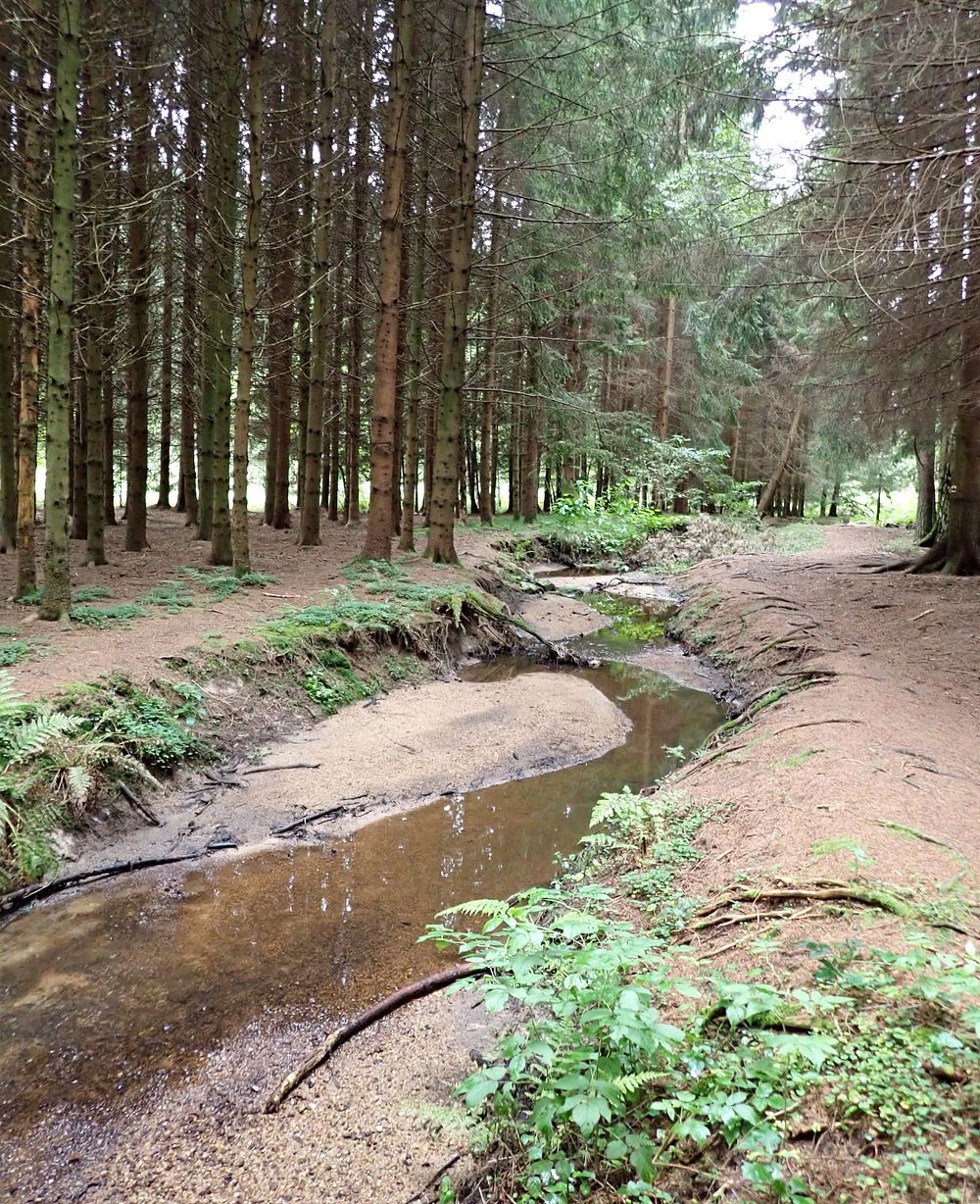 Novohradské hory kolem hranice