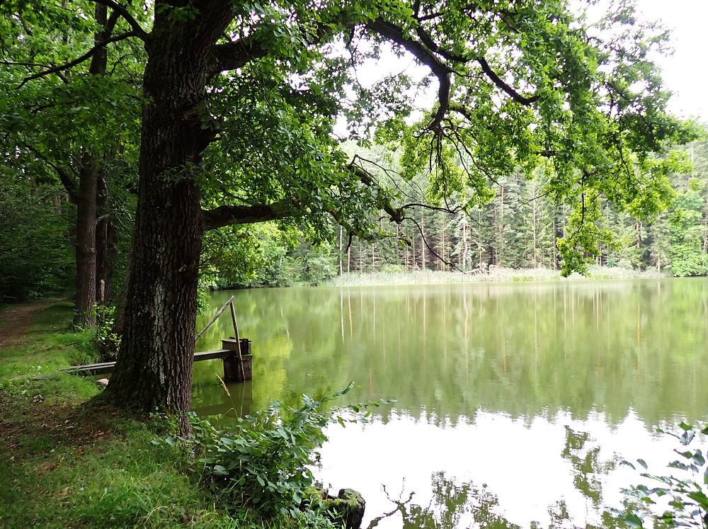 Novohradské hory kolem hranice