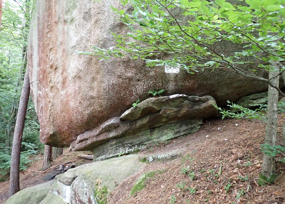 Novohradské hory kolem hranice