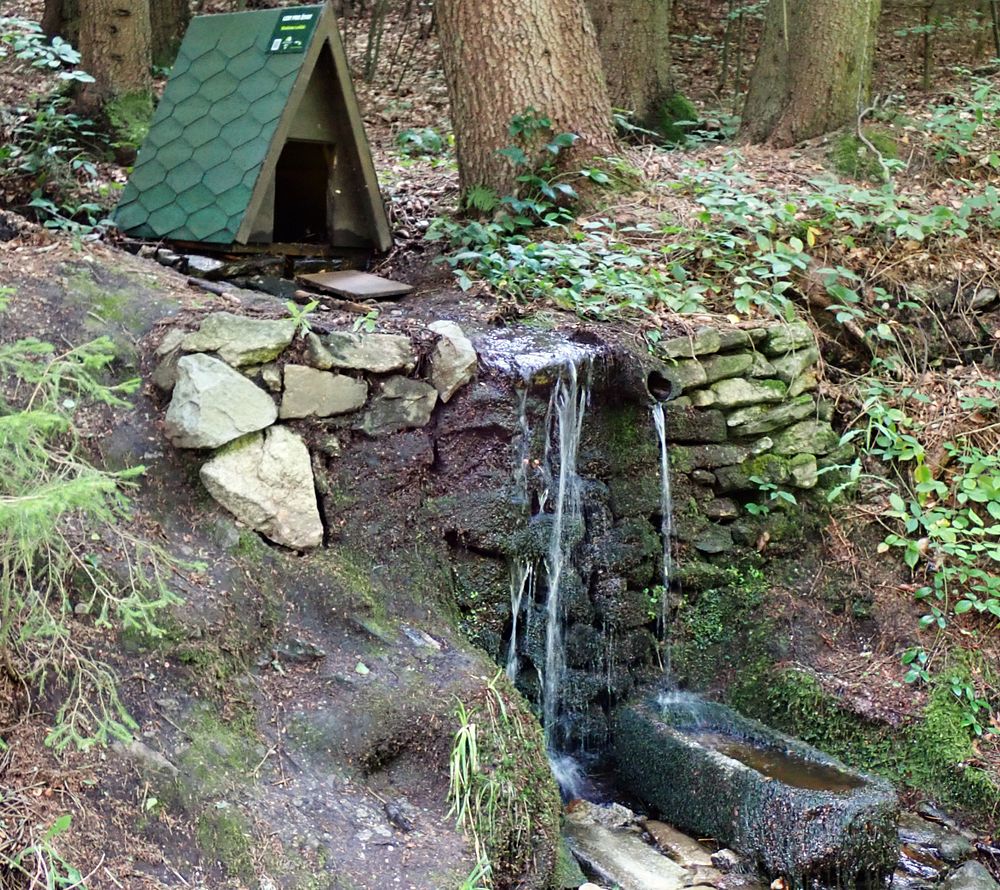 Novohradské hory kolem hranice