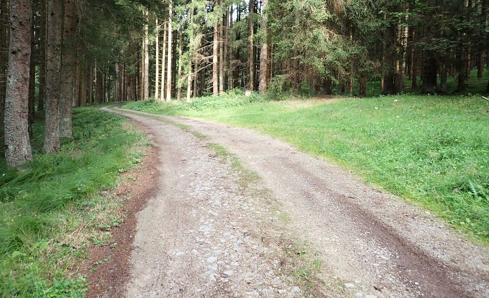 Novohradské hory kolem hranice