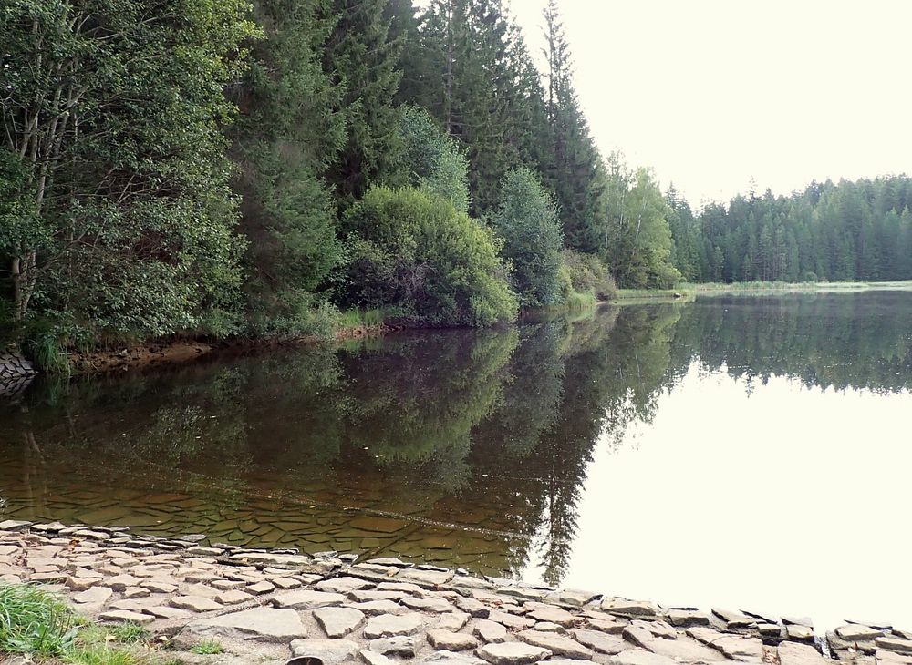 Novohradské hory kolem hranice