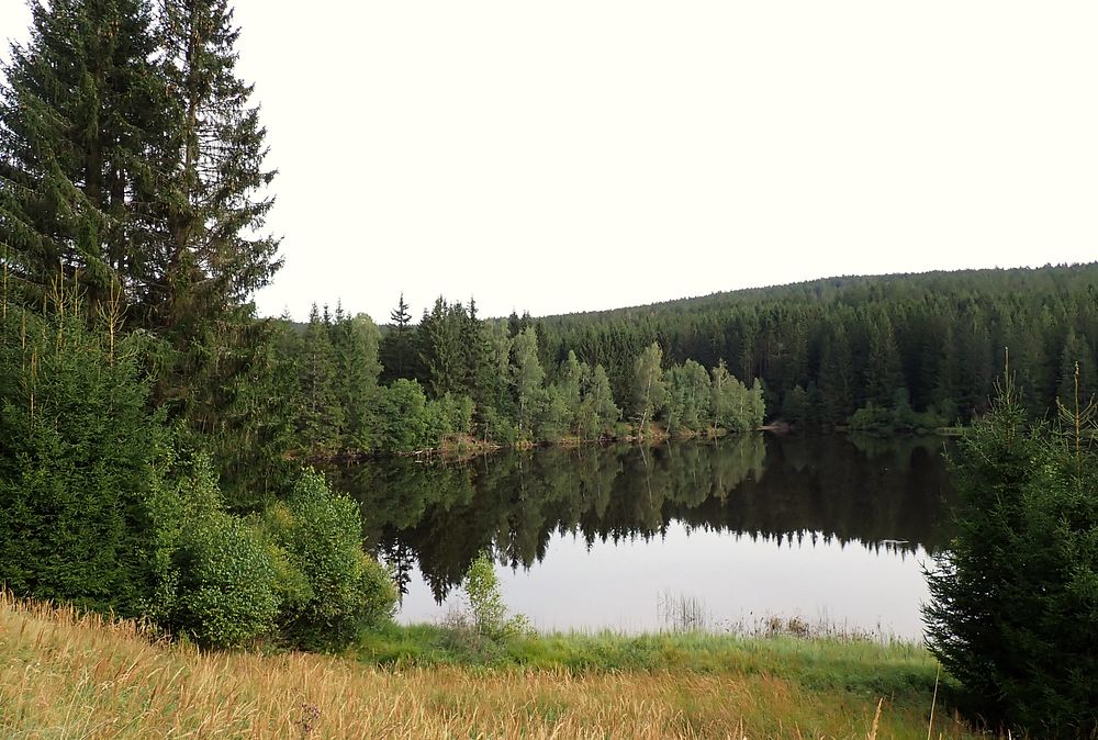 Novohradské hory kolem hranice