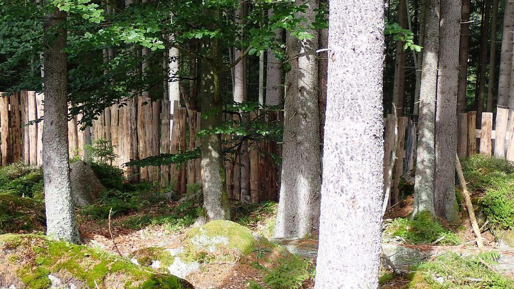 Novohradské hory kolem hranice