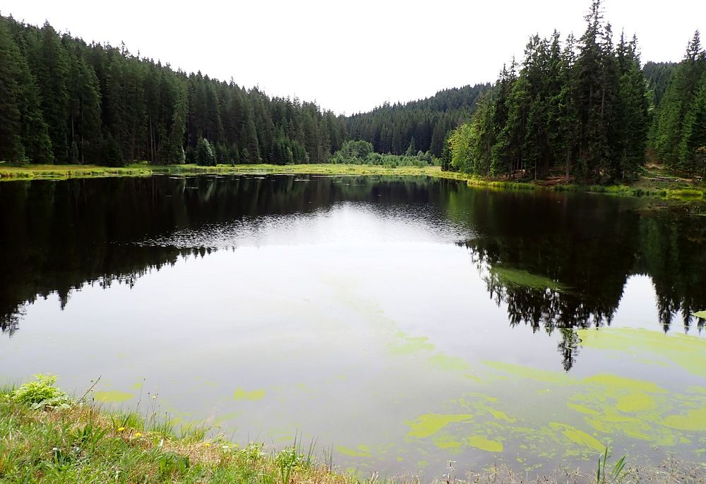 Novohradské hory kolem hranice