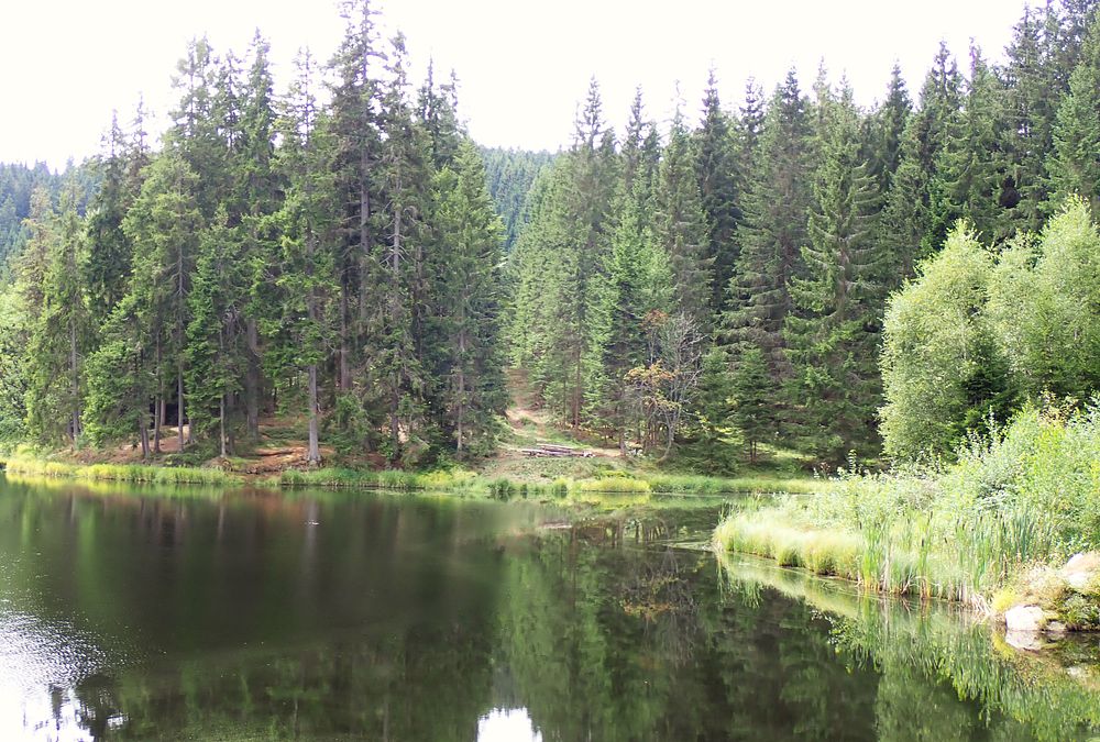 Novohradské hory kolem hranice