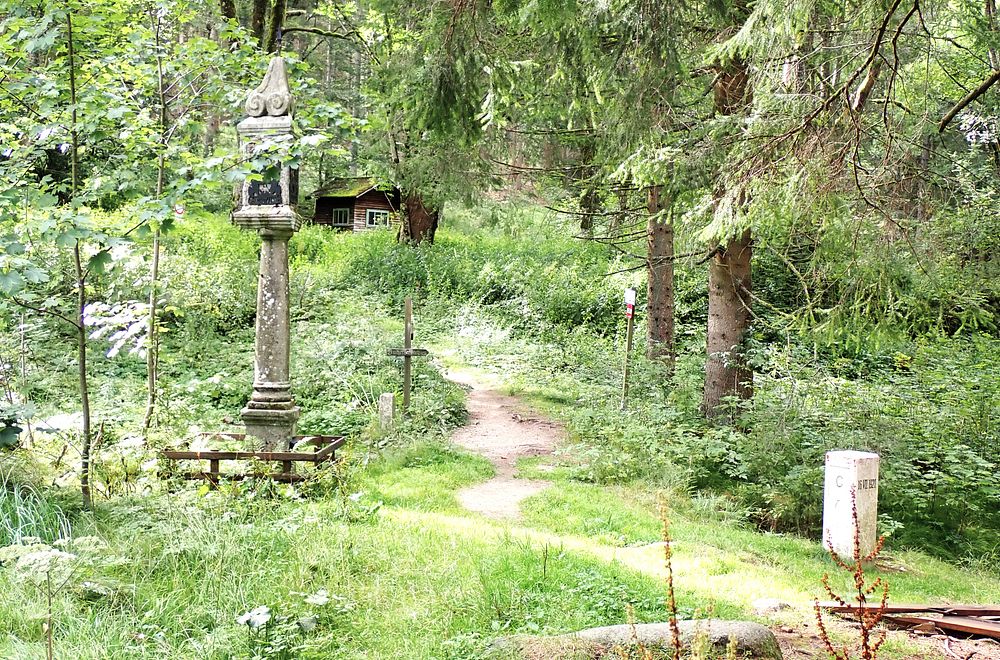 Novohradské hory kolem hranice