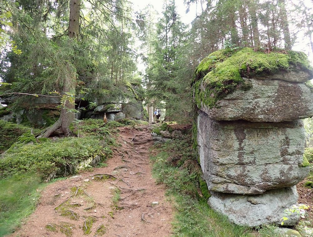 Novohradské hory kolem hranice