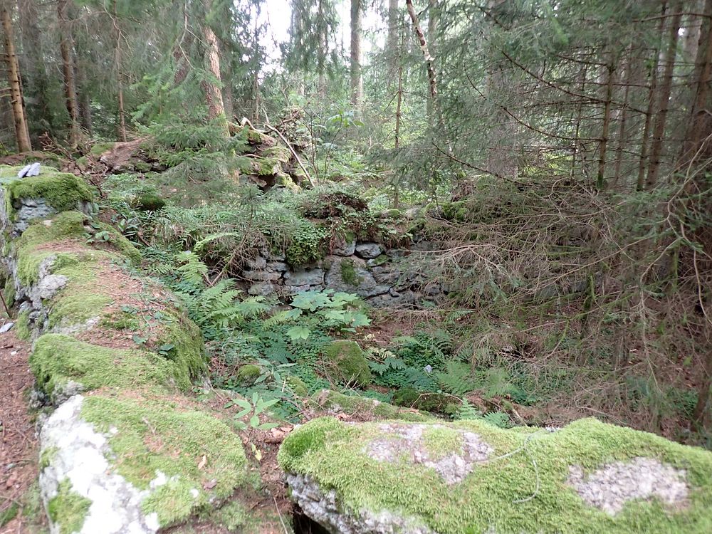 Novohradské hory kolem hranice