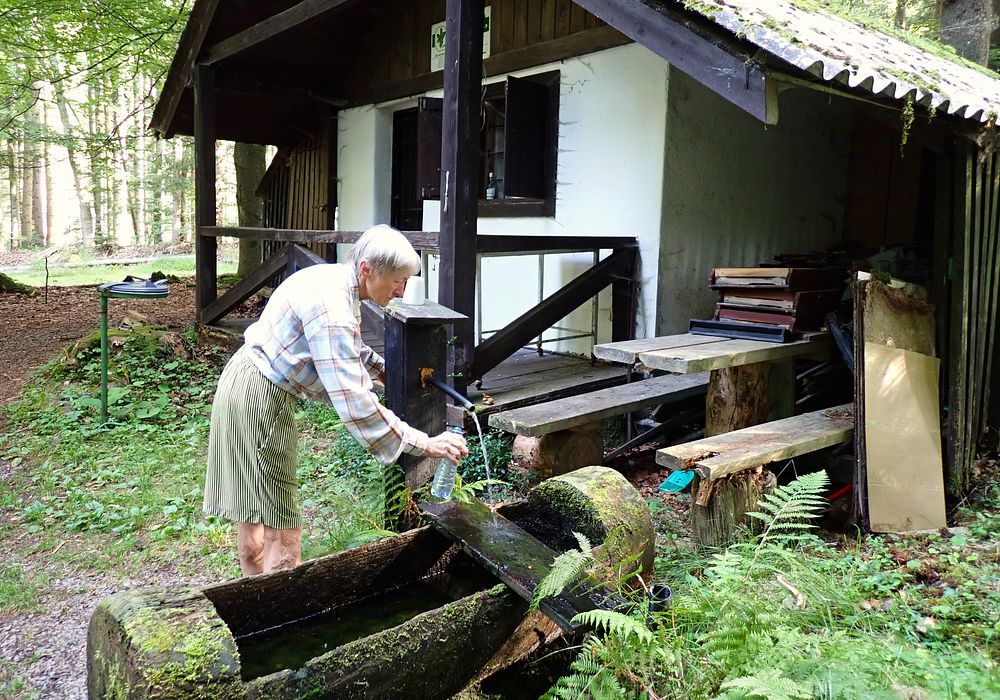 Novohradské hory kolem hranice