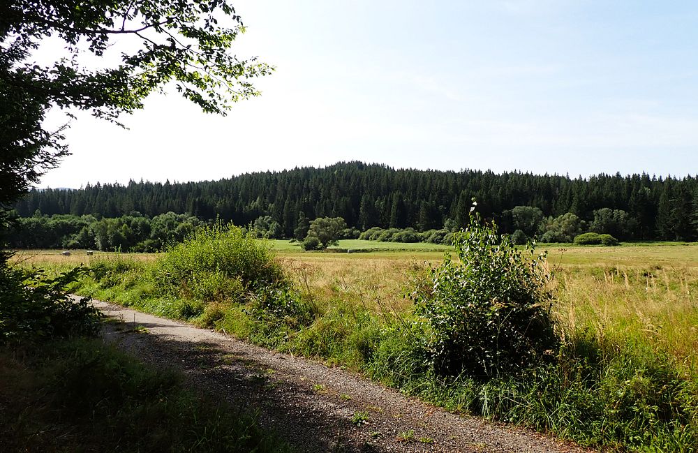 Novohradské hory kolem hranice