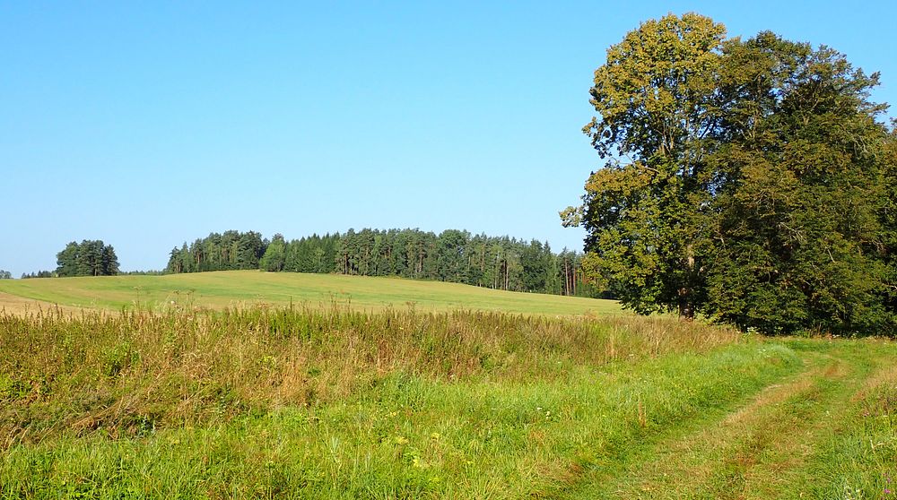 Novohradské hory kolem hranice