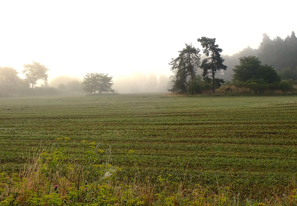 Budišovsko a Tasovsko