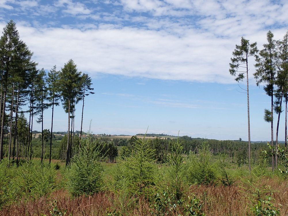 Budišovsko a Tasovsko