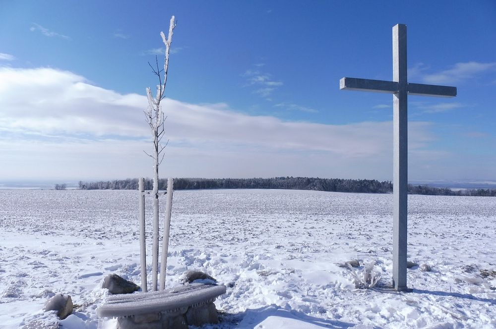  Oledovatělý  Výhon nad Židlochovicemi 