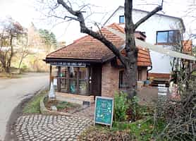 Nouzové kolonie v Brně