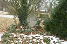 Fotodetail