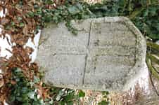 Fotodetail