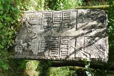 Fotodetail