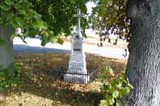 Synek, Stanislav