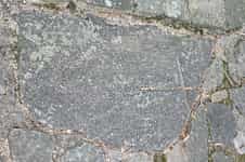 Fotodetail