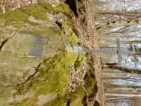 Fotodetail