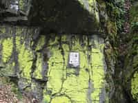 Fotodetail