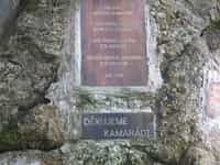 Fotodetail