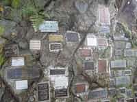 Fotodetail