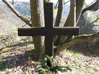 Fotodetail