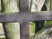 Fotodetail