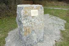 Fotodetail