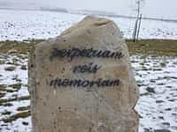 Fotodetail