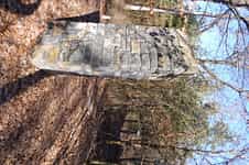 Fotodetail