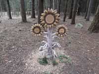 Fotodetail