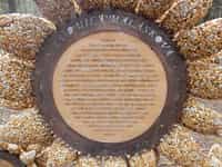 Fotodetail